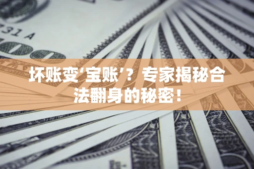 武汉坏账变‘宝账’？专家揭秘合法翻身的秘密！