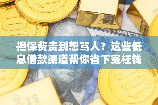 武汉担保费贵到想骂人？这些低息借款渠道帮你省下冤枉钱