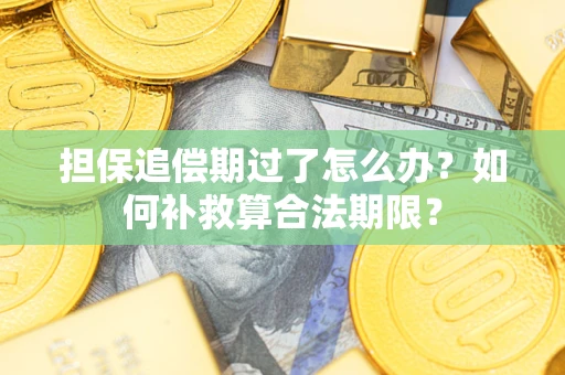 武汉担保追偿期过了怎么办？如何补救算合法期限？