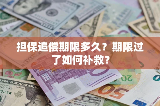 武汉担保追偿期限多久？期限过了如何补救？