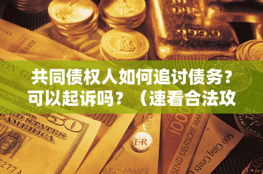 武汉共同债权人如何追讨债务？可以起诉吗？（速看合法攻略）