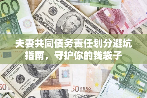 武汉夫妻共同债务责任划分避坑指南，守护你的钱袋子